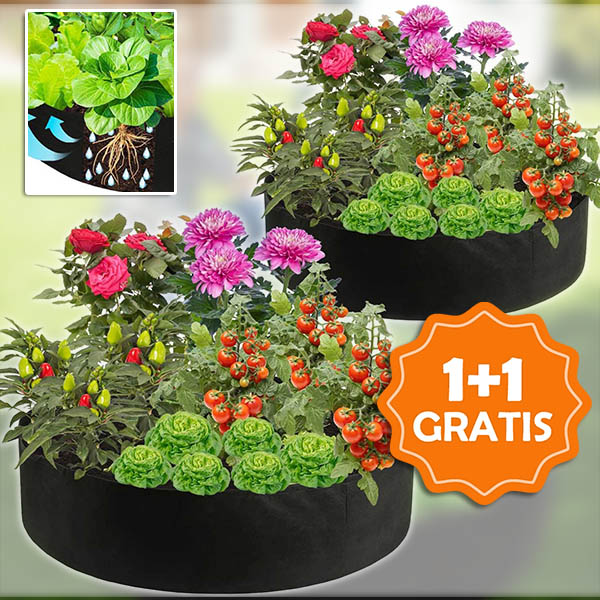 PLANTIE