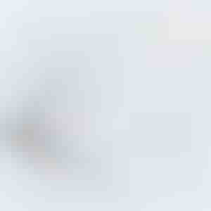 Dubbele sproeier toiletbidet | BIDECARE
